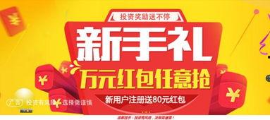 网贷平台最新爆料有哪些,揭秘行业动态与风险预警
